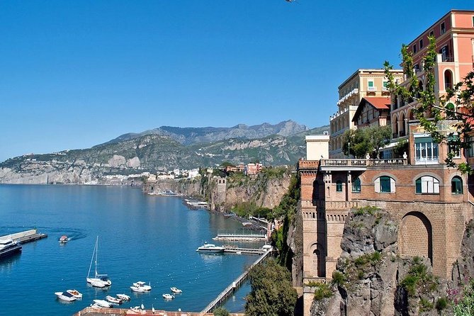 Daytrip From Naples Port to Pompei, Sorrento & Positano - Tour Information and Accessibility