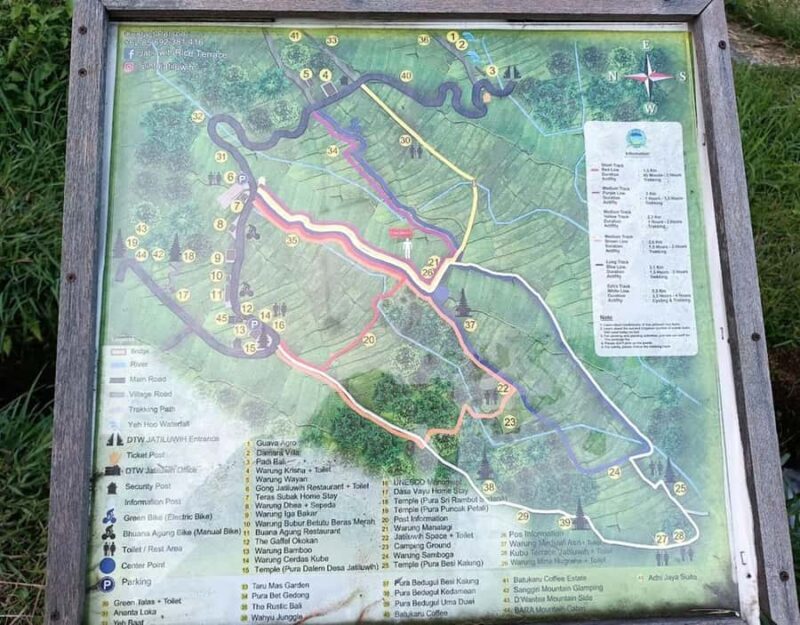 daytrip: sangeh monkey,jati luwih,yeh ho waterfalls - Introduction: The Charm of Bali’s Nature and Culture