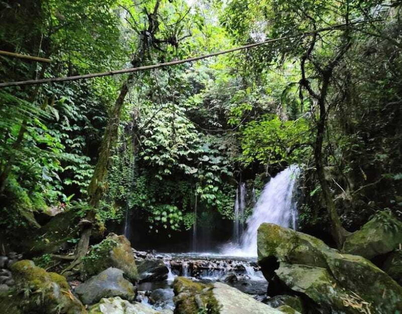 daytrip: sangeh monkey,jati luwih,yeh ho waterfalls - Value for Money