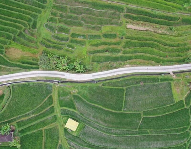 daytrip: sangeh monkey,jati luwih,yeh ho waterfalls - The Perfect Fit: Who Should Consider This Tour?