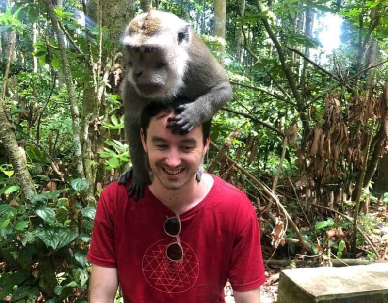 daytrip: sangeh monkey,jati luwih,yeh ho waterfalls - FAQ