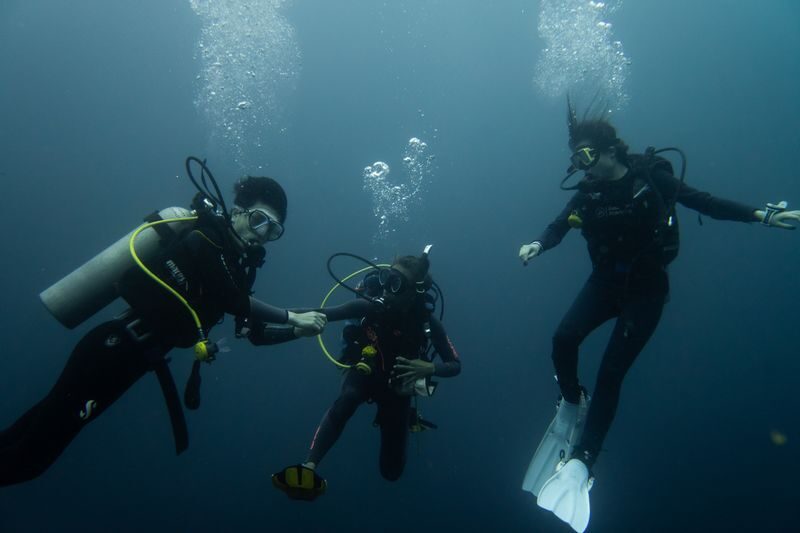 Daytrip Scuba Diving or Snorkeling to Nusa Penida - Safety matters more than the wildlife checklist