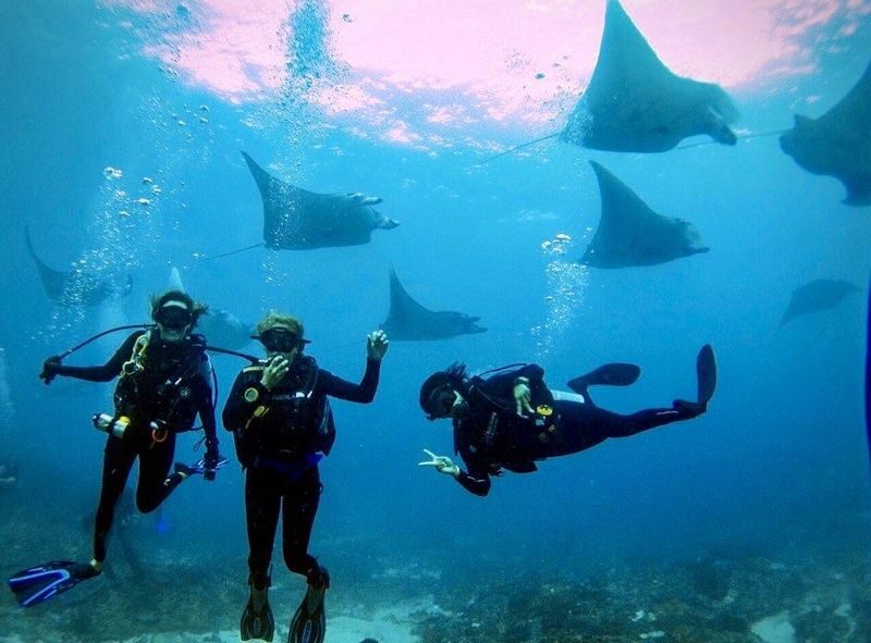Daytrip Scuba Diving or Snorkeling to Nusa Penida - Practical packing and booking advice