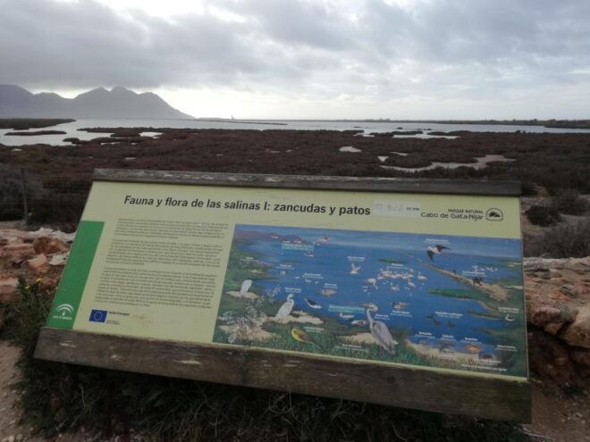 Daytrip to Cabo De Gata–Nijar Natural Park - Customer Reviews