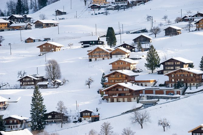 Daytrip to Jungfraujoch Top of Europe With Eigerexpress Gondola Ride From Zürich - Well-Organized Trip With Knowledgeable Guide