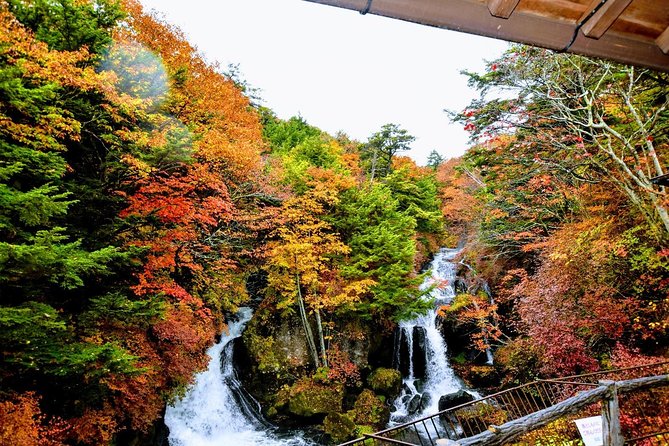Daytrip to Nikko From Tokyo With Local Japanese Photograher Guide - The Importance of a Local Japanese Photographer Guide