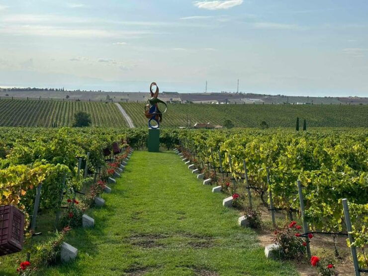 Daytrip:Gerovassiliou Winery,Petralona Cave & Potidea Beach - Good To Know