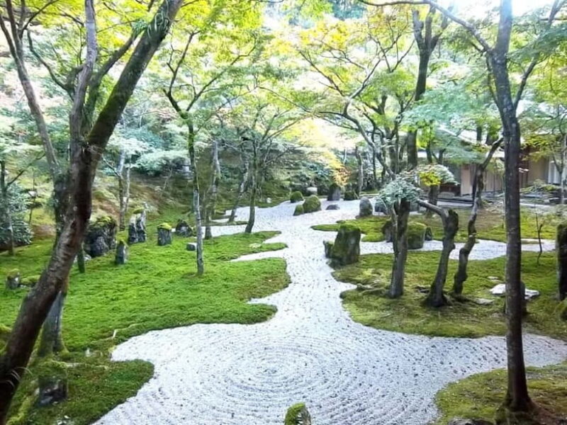 Dazaifu: Shrine, Museum, and Zen Garden Tour with Tea - Komyozenji Zen Garden: Tranquility in Every Leaf