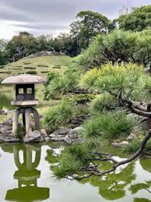 Dazaifu: Shrine, Museum, and Zen Garden Tour with Tea - Tea Ceremony and Sweets: Savoring Tradition