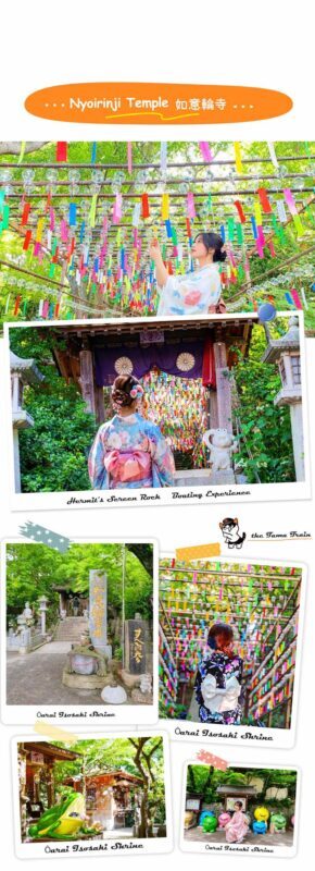 Dazaifu Tenmangu (Optional Kimono), Nyoirinji, Yanagawa Boat Ride & Tosu Outlets day tour - Who should book this day tour?