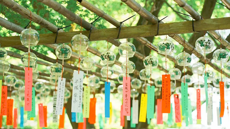 Dazaifu Tenmangu & Yanagawa Full-Day Boat Experience - Booking details to check