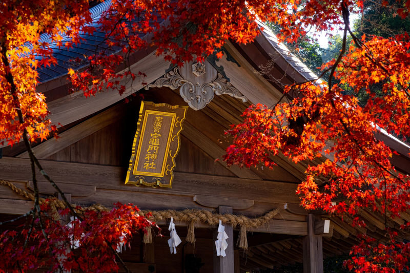 Dazaifu Tenmangu & Yanagawa Full-Day Boat Tour - Yanagawa: a canal ride with conditions attached