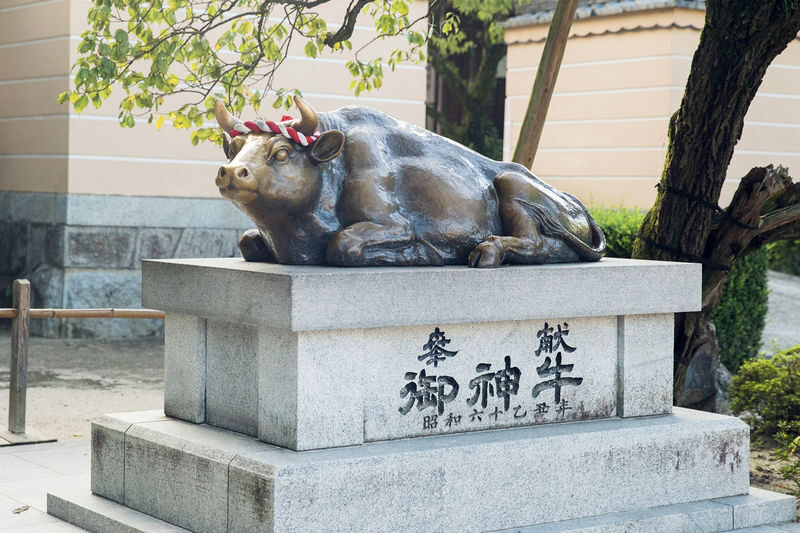 Dazaifu Tenmangu & Yanagawa Full-Day Boat Tour - Dazaifu Tenmangu: shrine visit and shopping street