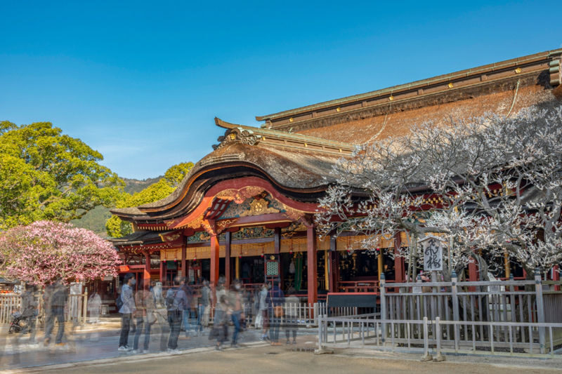 Dazaifu Tenmangu & Yanagawa Full-Day Boat Tour - Homan-gu Kamado Shrine: a green final stop