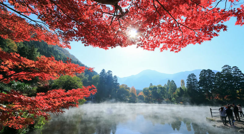 Dazaifu Tenmangu & Yufuin Old Town Full-Day Tour - Does $44.95 make sense?