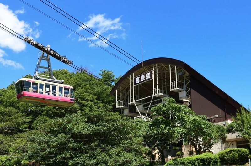 Dazaifu Tenmangu & Yufuin Old Town Full-Day Tour - Who should choose this tour?