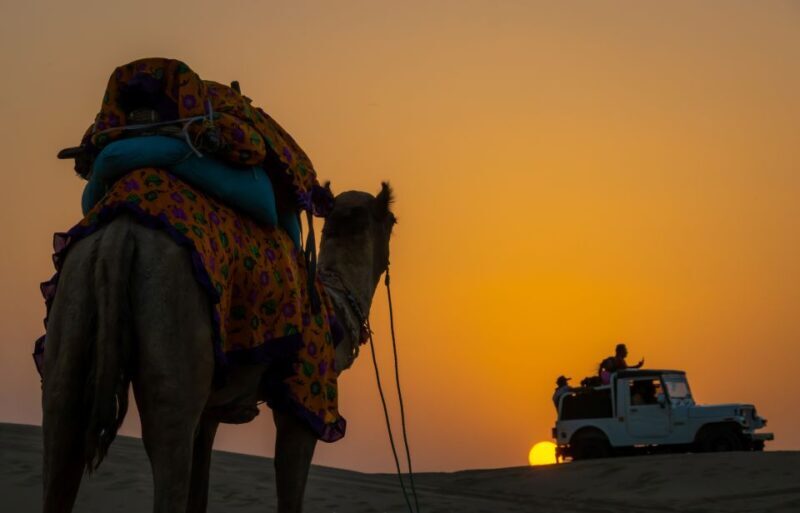 Dazzling Half Day Camel & Desert Safari With Sunset & Dinner - Final Thoughts: Is This Tour for You?