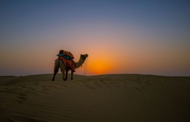 Dazzling Half Day Camel Safari Tour With Sunset - Location Information