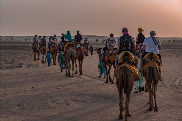 Dazzling Half Day Camel Safari Tour With Sunset - Additional Tips