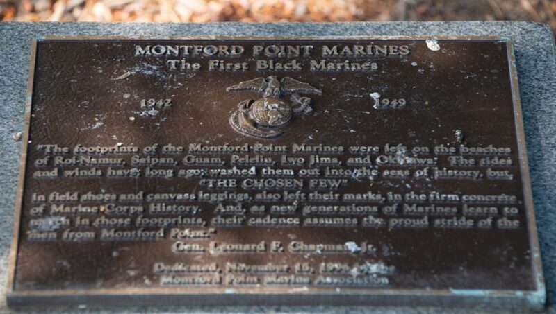 DC: Arlington National Cemetery Guided Walking Tour - Final Thoughts