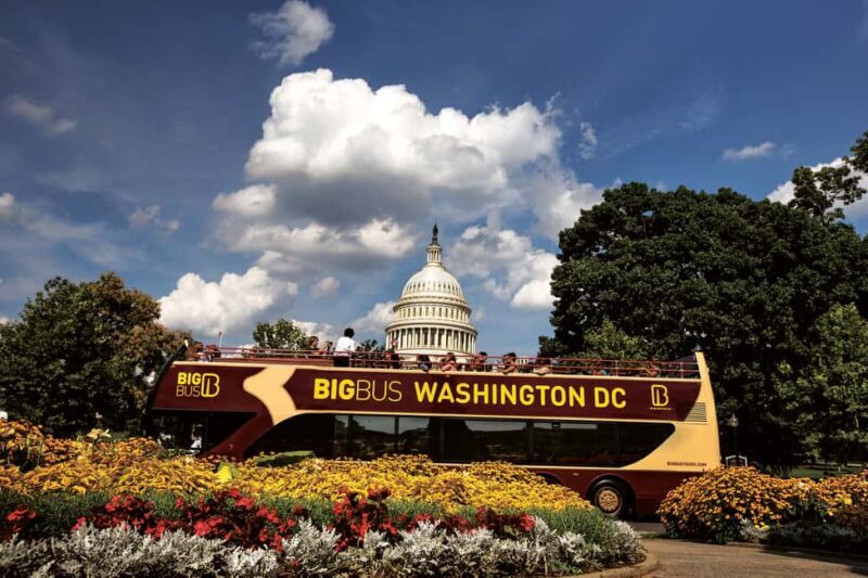 DC: Hop-on Hop-off, Arlington Walking Tour, and Night Tour - Good To Know