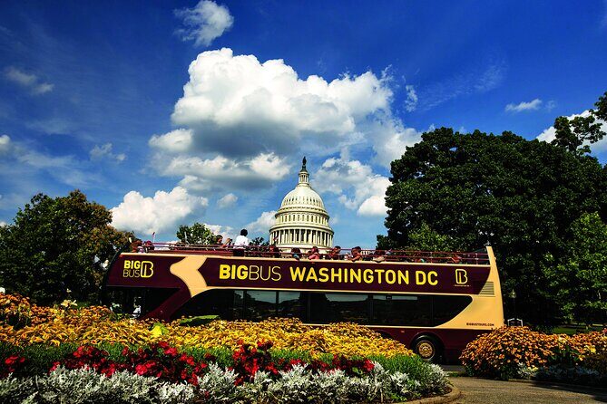 DC: Hop-on Hop-off Bus, Arlington Walking Tour, and Night Tour - Washington DC: Hop-on Hop-off Bus, Arlington Walking Tour, and Night Tour