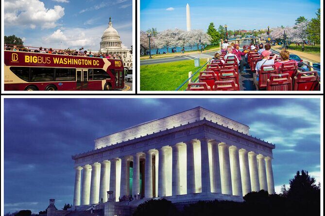 DC: Hop-on Hop-off Bus, Arlington Walking Tour, and Night Tour - Navigating the Itinerary: What to Expect