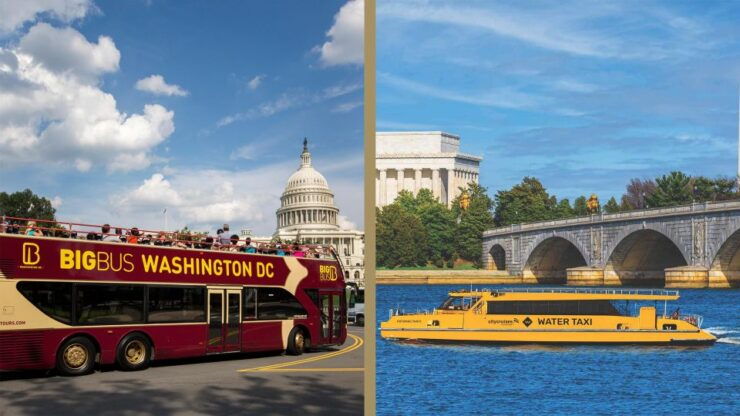 DC: Hop-on Hop-off Bus Tour & Sightseeing Water Taxi Cruise - Activity Highlights