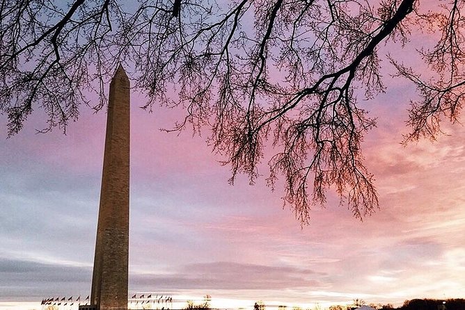 DC National Mall & Memorials Guided Walking Tour - Semi-Private 8ppl Max - Tour Overview