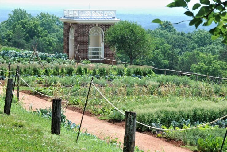 DC: Private Day Trip to Thomas Jefferson's Monticello Estate - Experience