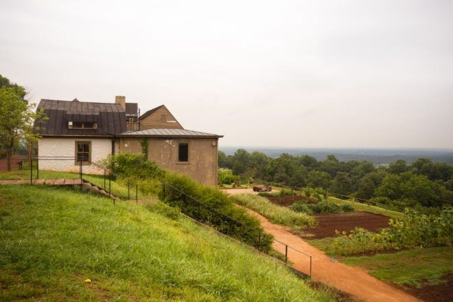 DC: Private Day Trip to Thomas Jefferson's Monticello Estate - Highlights