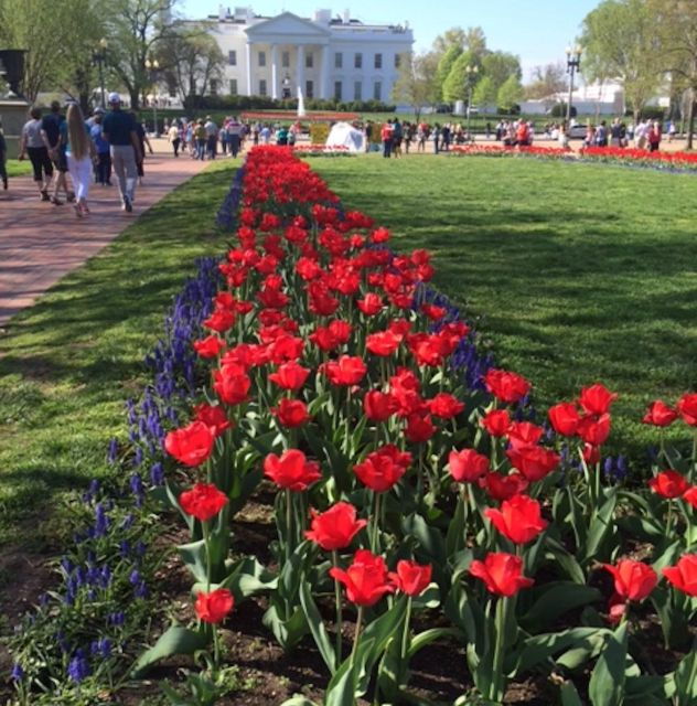 DC's Presidents, Pubs, and Parties: A Self-Guided Audio Tour - Tour Details