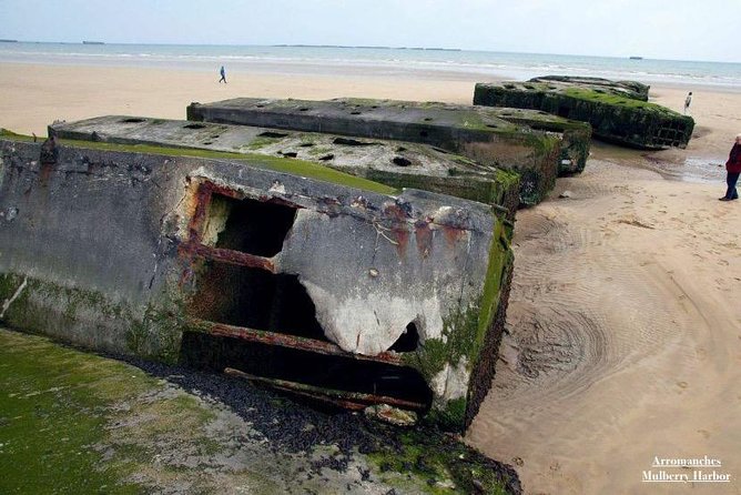 Dday Experience Full Day Tour US Sector - Tour Highlights