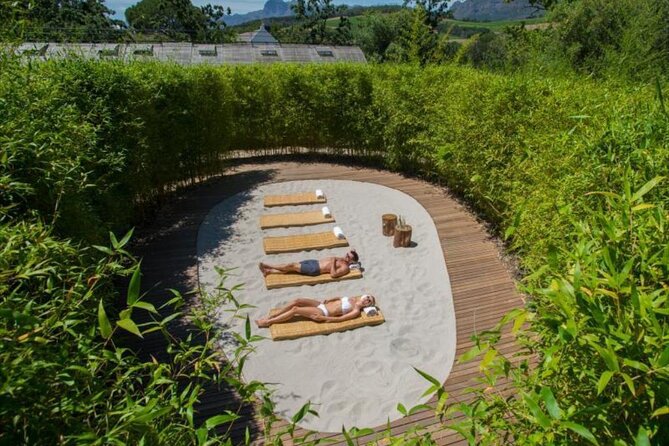 De-Alcoholized Wine Tasting - Tips for Hosting a De-Alcoholized Wine Tasting Party