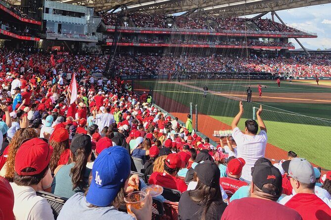 DE DE Baseball match day experience in DE Mexico City - Good To Know