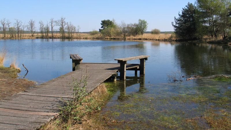 De Hoge Veluwe National Park ticket in Otterlo - A park made for choosing your own pace