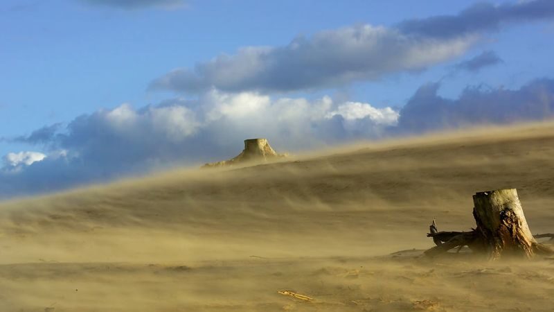 De Hoge Veluwe National Park ticket in Otterlo - Setting a realistic three-to-five-hour visit