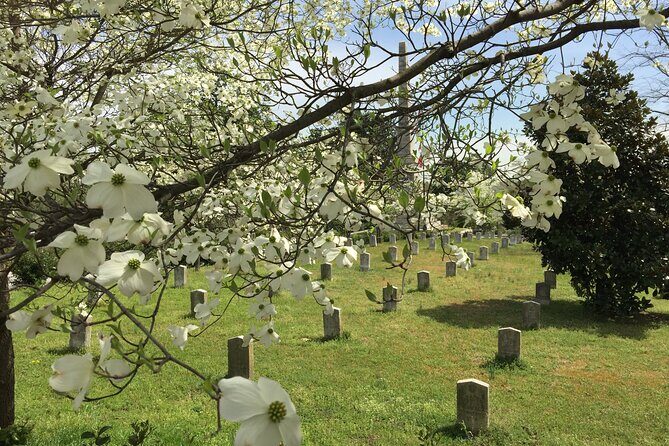 De La Guerra Civil a Los Derechos Civiles - Exploring Atlanta: From Civil War Battlefields to the Birth of Civil Rights