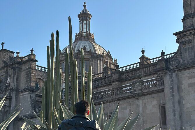 DE Mexico CD Walking Tour with Local Guide and Bilingual - Good To Know