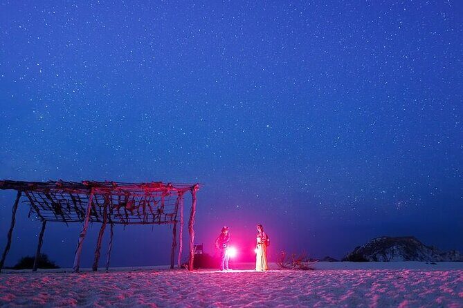 DE rismo and Night Monitoring of Sea Turtles - An In-Depth Look at the DE Rismo and Night Monitoring of Sea Turtles Tour