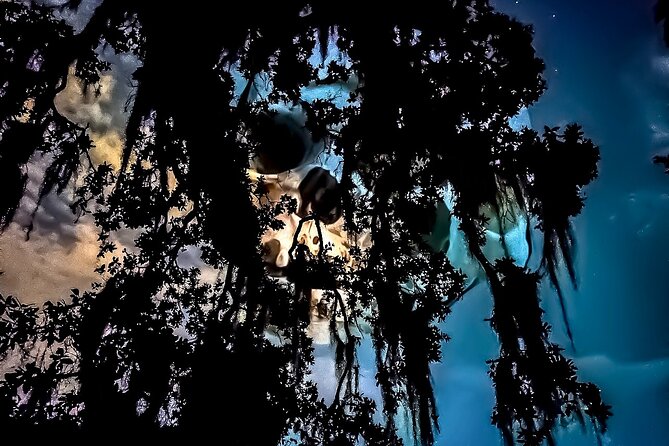Dead of Night Ghosts and Cemetery Bus Tour - Overview and Tour Details