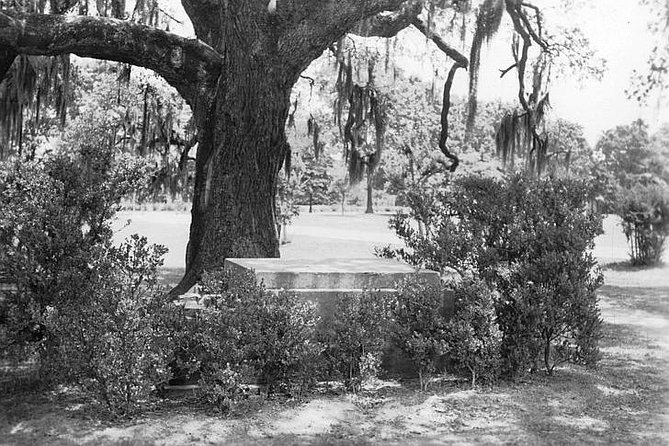 Dead of Night Ghosts and Cemetery Bus Tour - Paying Respects to Hurricane Katrina Victims