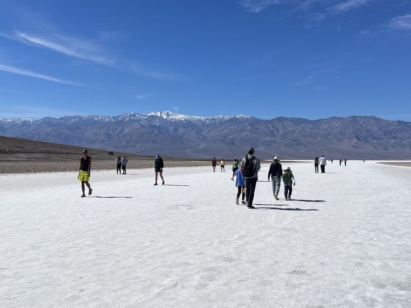 Death Valley & Seven Magic Mountains Small Group Day Tour - Who should book this day tour?