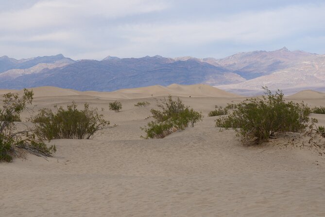 Death Valley Small Group Day Adventure From Las Vegas - Knowledgeable Tour Guide