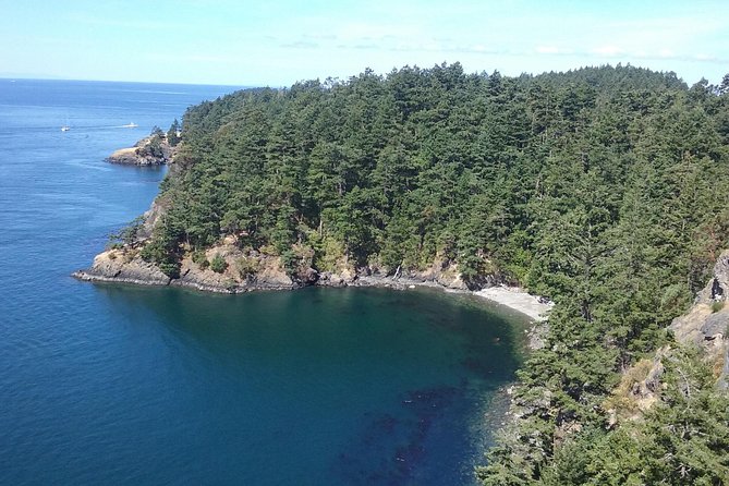 Deception Pass Bridge Island Tour From Seattle - Indulge in a Delicious Lunch at Coupeville