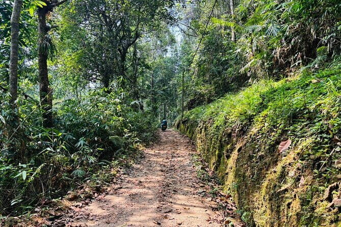 Dediyagala Village Tour(from Galle, Mirissa, Ahangama, Matara) - A Closer Look at the Dediyagala Village Tour Experience