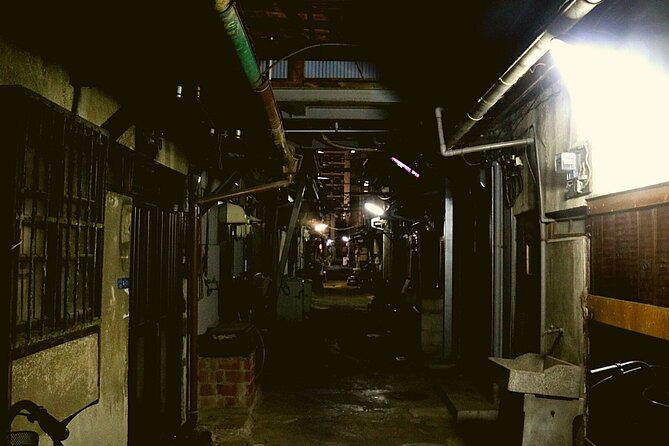 Deep Backstreet Osaka Tours - Explore Osakas Historic Districts