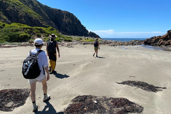 Deep Creek Hike: Trails and Tales with a Foreign Flair - The Sum Up