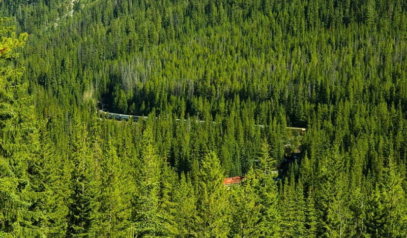 Deep Day Tour to Emerald, Moraine, Louise Lake, J. Canyon... - Good To Know