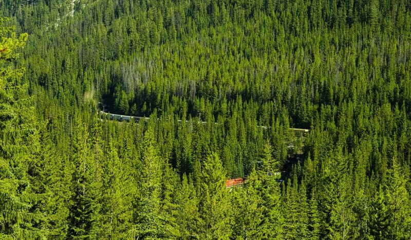 Deep Day Tour to Emerald, Moraine, Louise Lake, J. Canyon... - Practical Tips for Travelers